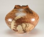 Fred-Sugar-Maple-Burl